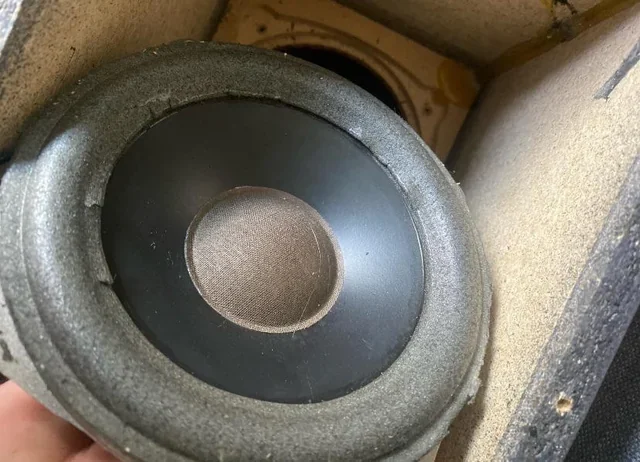 Blown Speaker